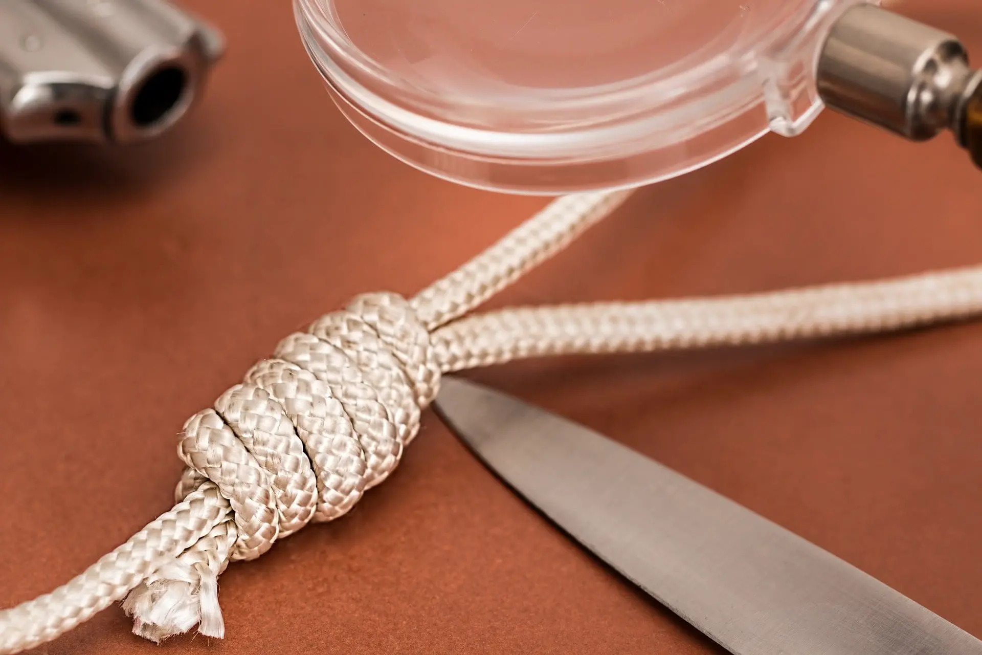 Online Murder Mystery Party